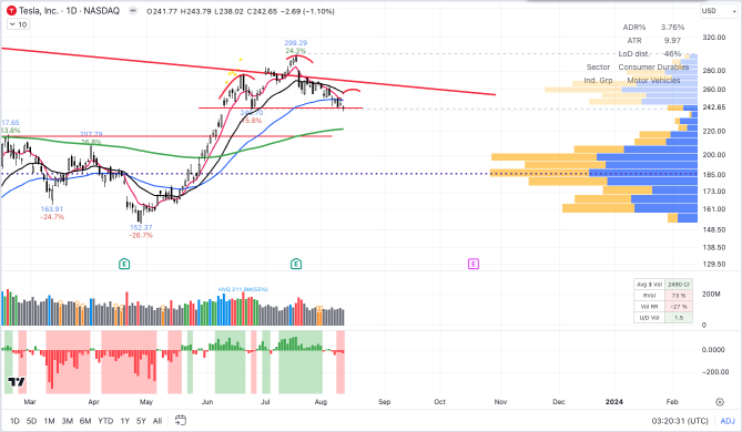 Market Summary 12th August