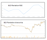 BLD Plantation – peak price this is not reflected in the ROE