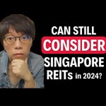 新加坡房地产投资信托基金：2024年第一季度展望（我们2023年11月的迹象是正确的！）