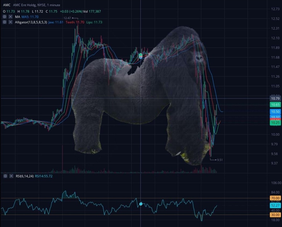 $AMCエンターテインメント クラスA (AMC.US)$ Apish Pattern: HODL!