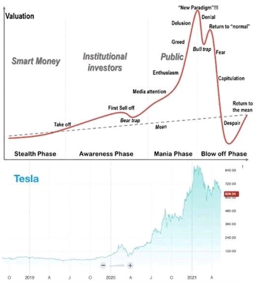 $テスラ (TSLA.US)$🤔