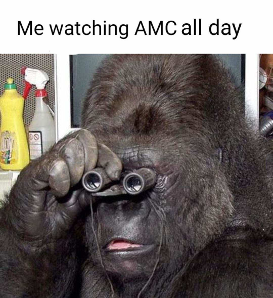 MooHumor: Me watching AMC all day.