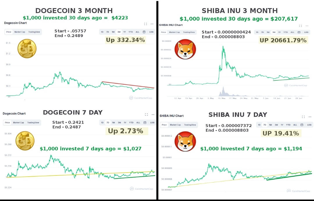 July 5th Update: Shiba Inu outperforms Dogecoin in both 7 and 90 day gain. Crypto is hot.