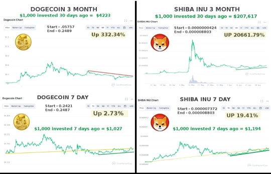 7月5日更新：Shiba Inu在7天和90天的收益中都超過了狗狗幣。加密貨幣市場火熱。