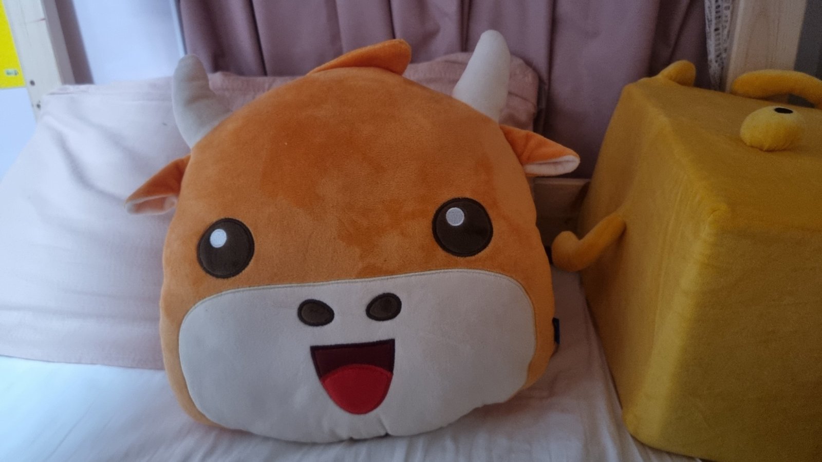 Received my moo cushion! so cute!