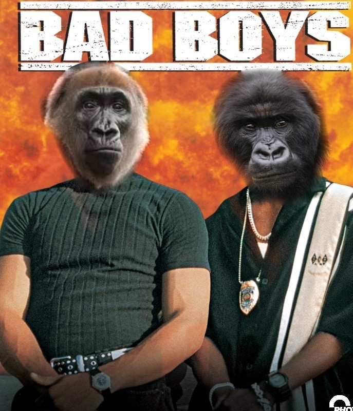 WE RIDE TOGETHER WE DIE TOGETHER BAD APES FOR LIFE!!!