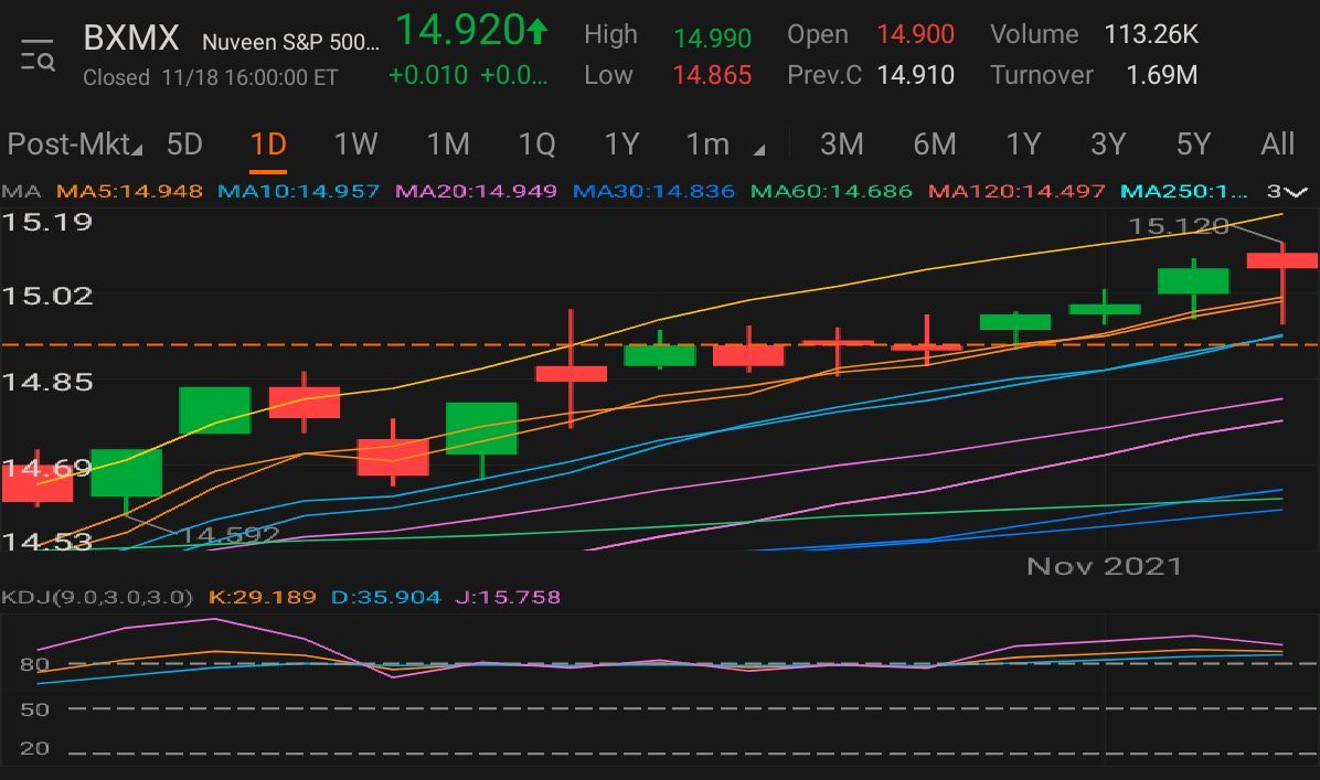 $Nuveen S&P 500 Buy-Write Income Fund (BXMX.US)$