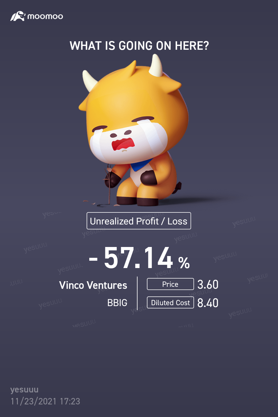 dun b sad $Vinco Ventures (BBIG.US)$