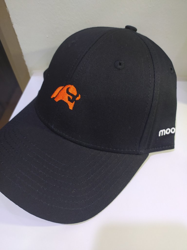 love the moo cap!