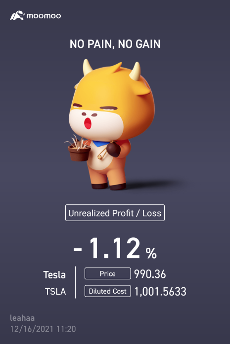 Trading Practice with Tesla 😅