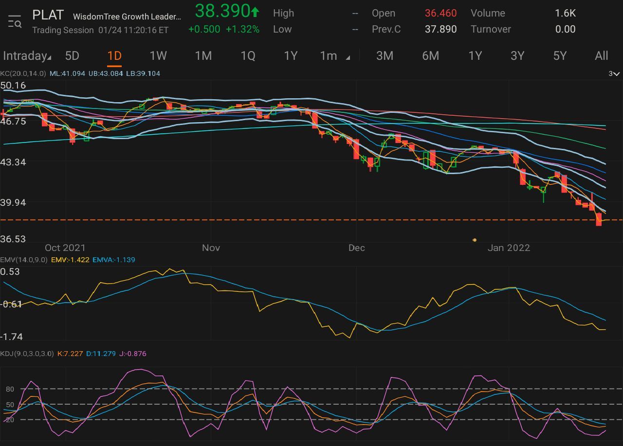 $WisdomTree Growth Leaders Fund (PLAT.US)$ 為新手嘗試一支便宜的股票，可以是未來轉型的入口🤏