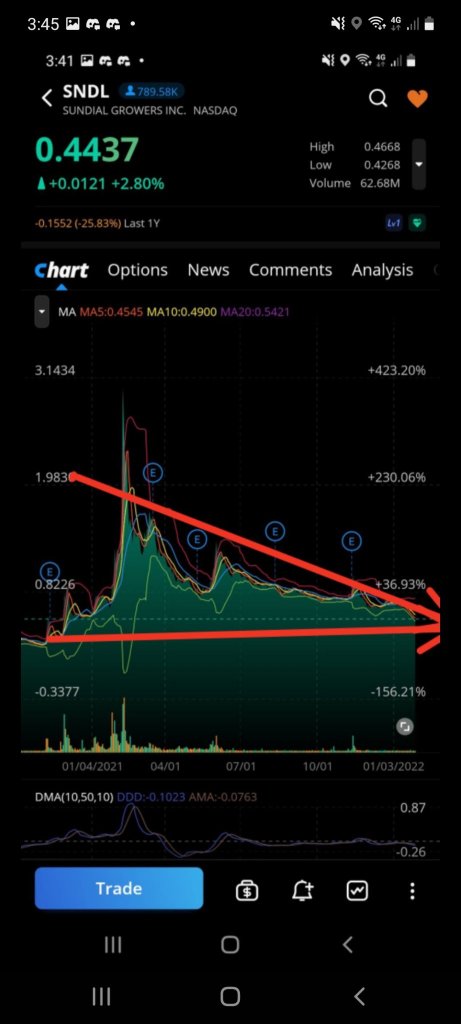 Sndl 4ever stock