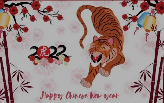 Happy Year of the Tiger!