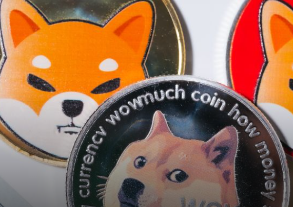 Dogecoin Vs Shiba Inu