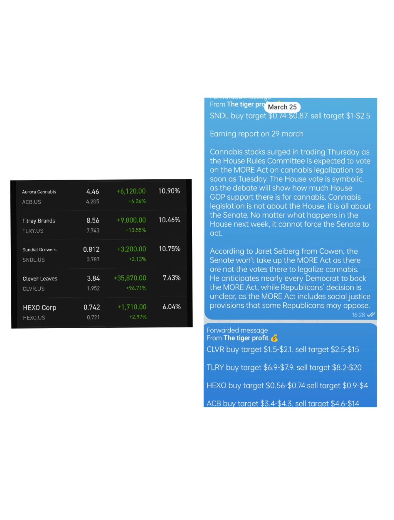 $オーロラ・カンナビス (ACB.US)$$エス・エヌ・ディー・エル (SNDL.US)$$ヘクソ (HEXO.US)$  大麻関連株が家にある...来週は大麻関連株の判決です 😬