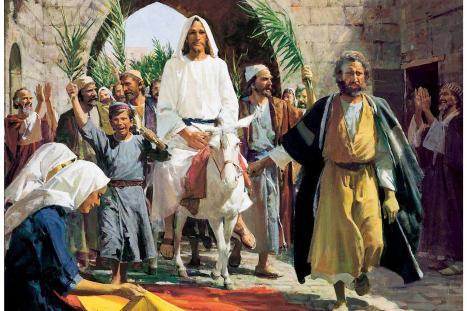 Have a blessed Palm Sunday 🕊️👑