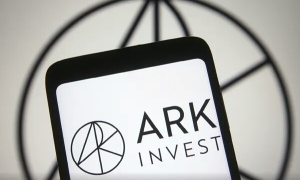 今年のスタートからCathie Woodのetf ARK with Bitcoinは半分に減少し、去年の終値から54％の下落となっています。