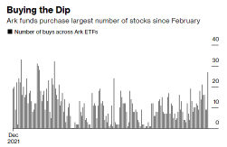 Cathie Wood Goes on Biggest Dip-Buying Binge Since February