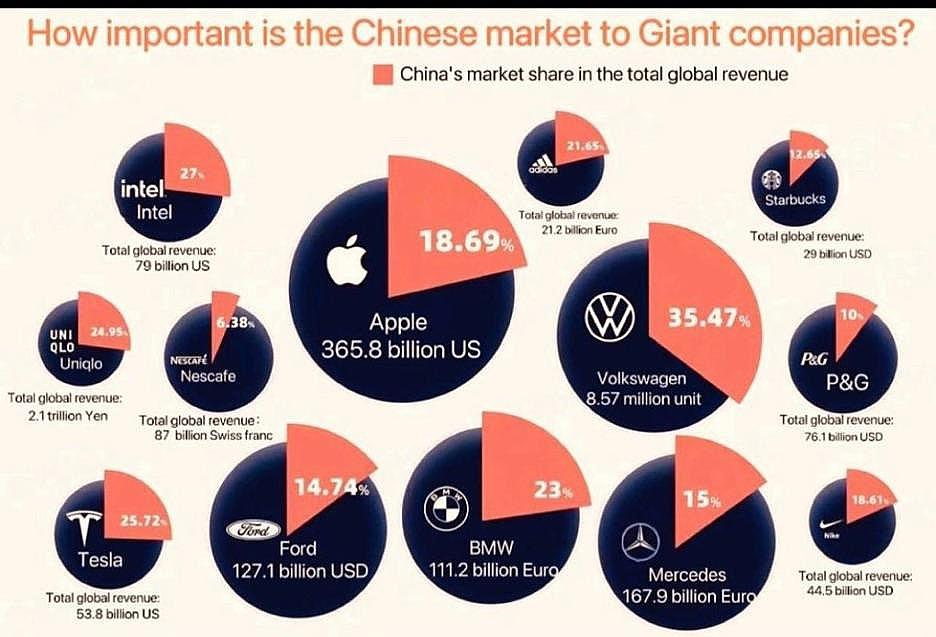 國際公司對中國的依賴 $特斯拉 (TSLA.US)$  $蘋果 (AAPL.US)$$寶馬汽車(ADR) (BMWYY.US)$$寶潔 (PG.US)$