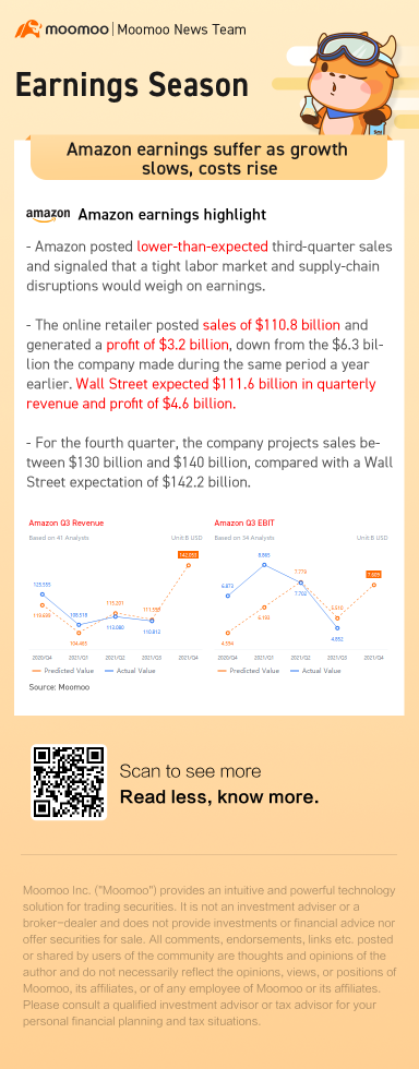 Amazon earnings suffer as growth slows, costs rise