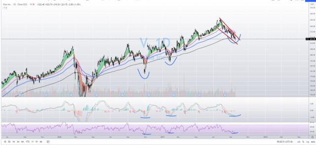 Visa Analysis by Newbie Trading Channel