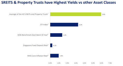 Investing in Dividend Stocks