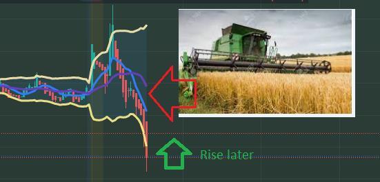 $Futu Holdings Ltd (FUTU.US)$ Harvester is here, just hold your stock or buy more now!