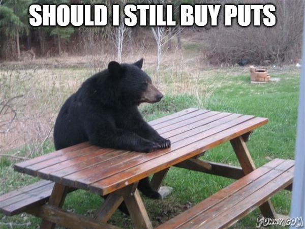 Bears have feelings too