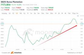 After Reaching Near Two Year High, Malaysia's Plantation Stocks Experience Pullback: What Lies Ahead?