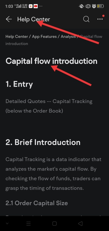 Capital Flow Introduction (Misunderstanding)