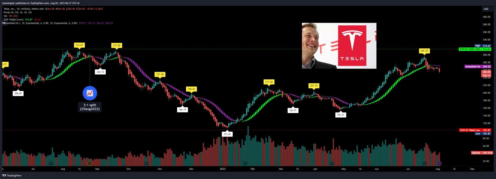 $テスラ (TSLA.US)$ 下落は続くか？