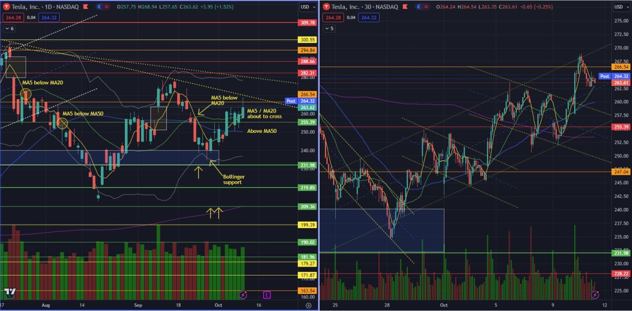 TSLA looking good with MA5 / MA20 meet; Earnings coming up next Wed 18 Oct!