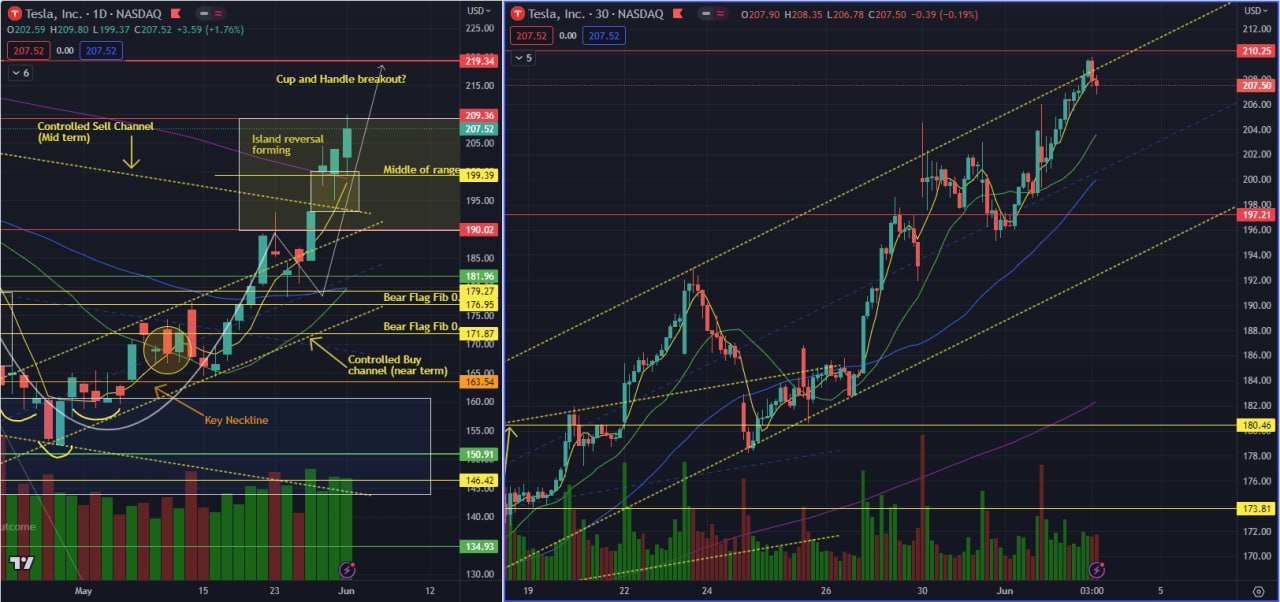 TSLA - 209目标已达到！接下来呢？！