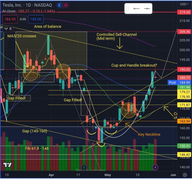 TSLA halted at 190 as expected. Can it bounce off top of buy channel?
