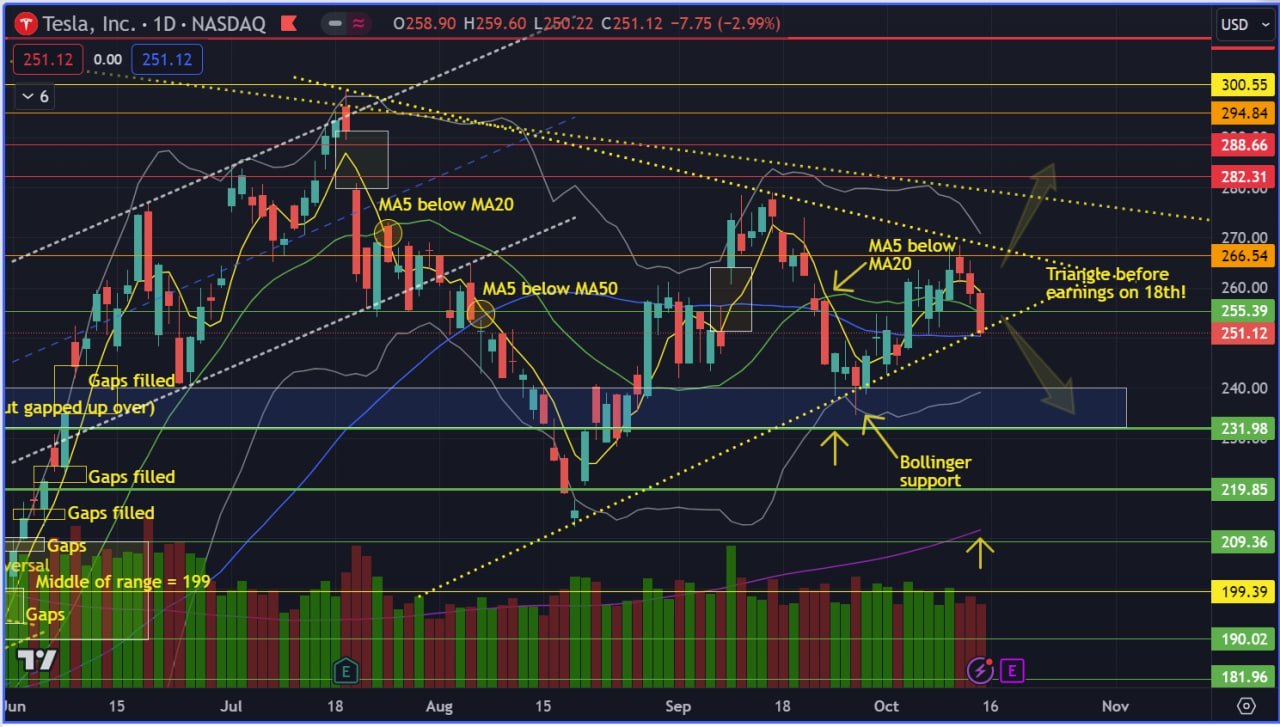 TSLA Daily Chart - 14 Oct 2023