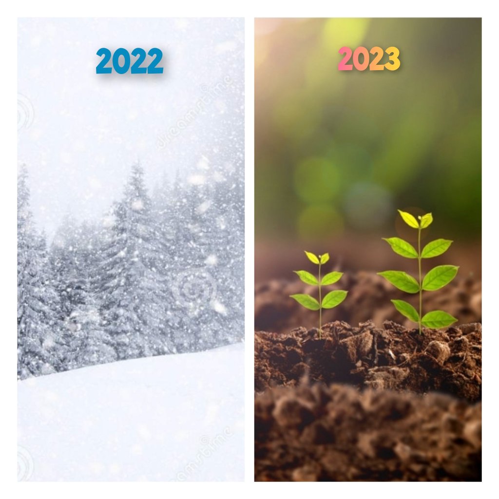 2023 Goals Tercet
