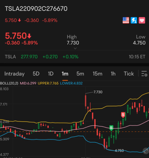 TSLA 看涨期权播放