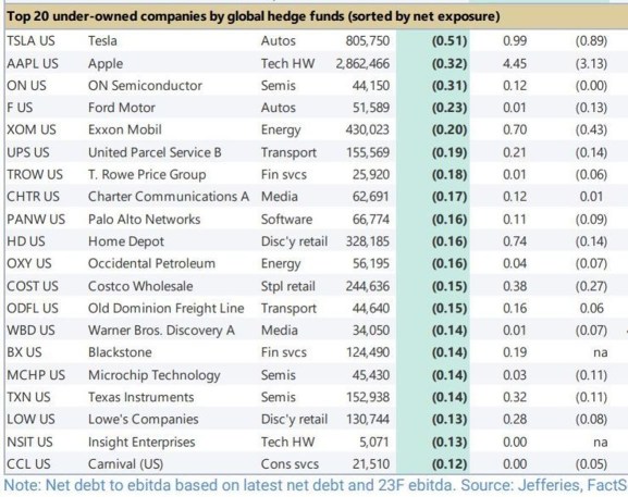 Tesla and Apple are the most underowned companies right now