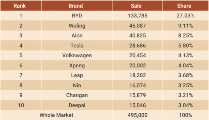 Other Than BYD, Potential EV Maker Stand Out In China Market?