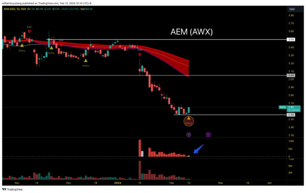 Nanoflim and AEM have been formed stable and rebound slowly.