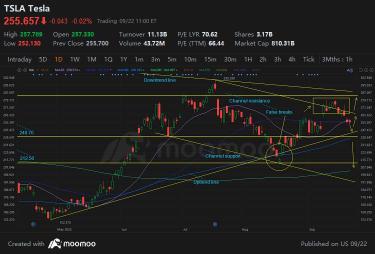 TA: 今週のテスラ株価目標