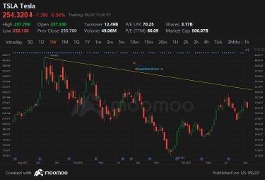 TA: 今週のテスラ株価目標