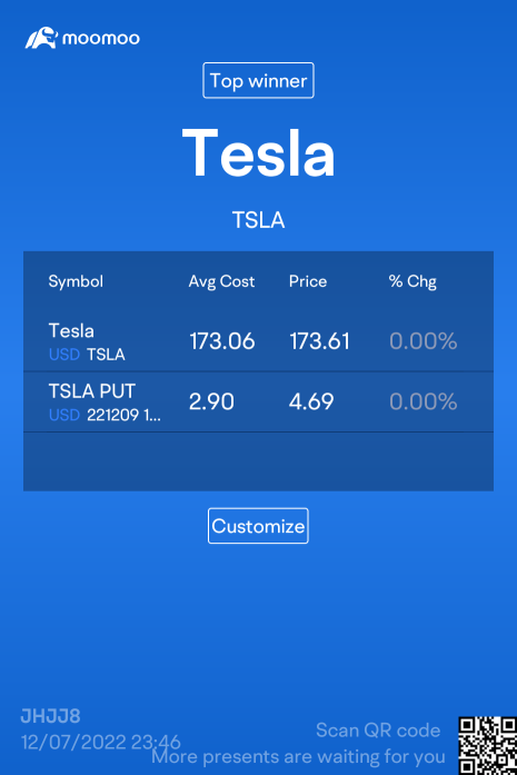 XMAS Gift from Tesla