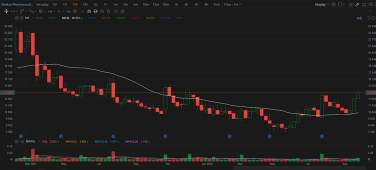 Market analysis- 09Oct2022