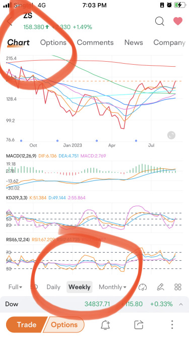 Pandas Weekly View v5.0