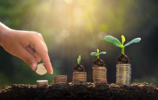 Cautious Step in 2024 Investment