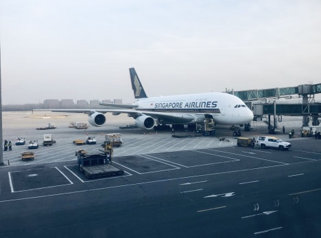 與新加坡航空一起慶祝，永不錯過任何一個盛會 💙✈️