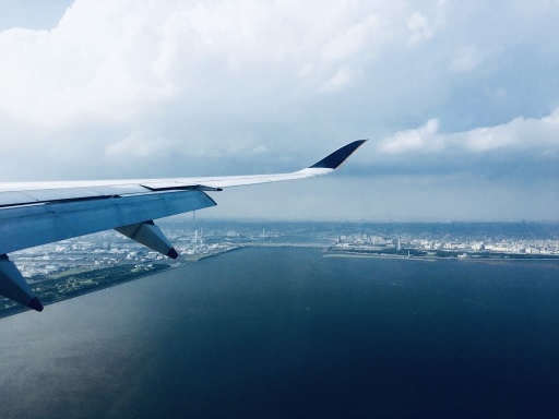 永遠不會錯過新加坡航空的慶祝活動 💙✈️