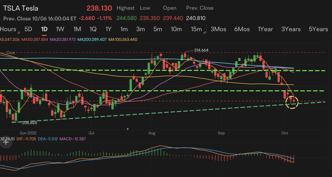 Support line from June’s low (TSLA)