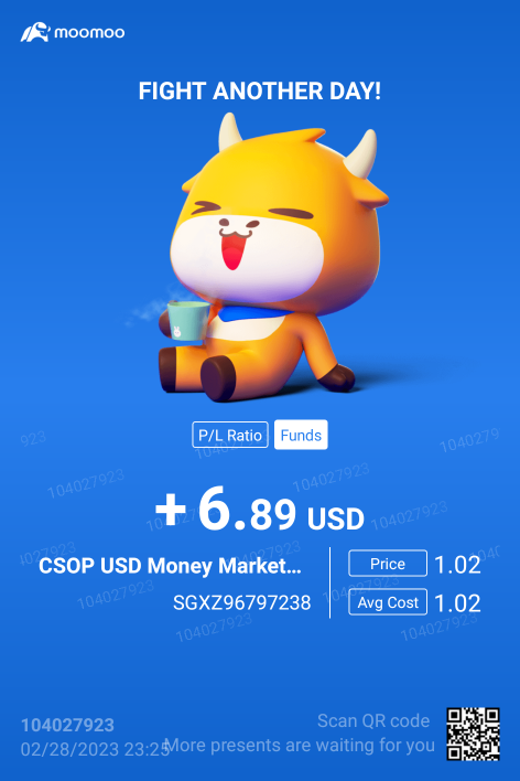 Cash Plus/MMFでの投資